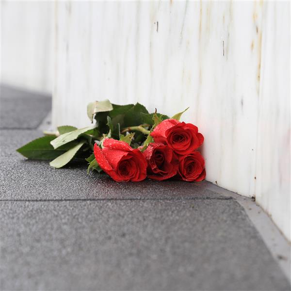 Red roses laying on the floor 