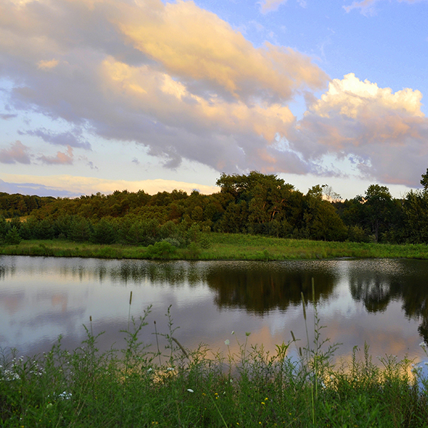 A river and green hillside with a sunset in the back