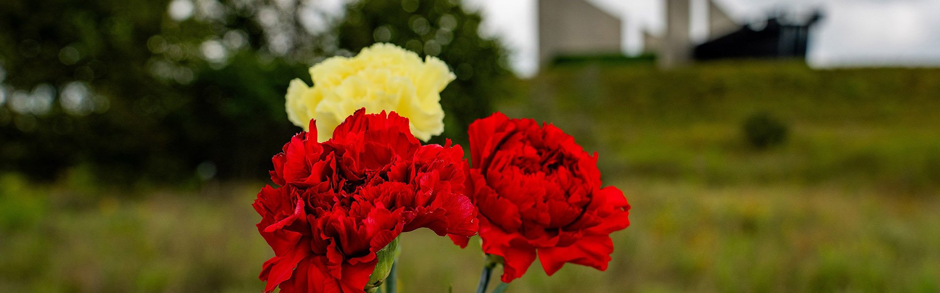 Red and yellow carnations in front of Flight 93 National Memorial